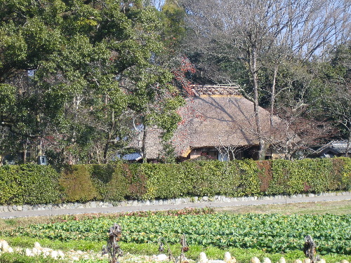 画像: 京都旅行